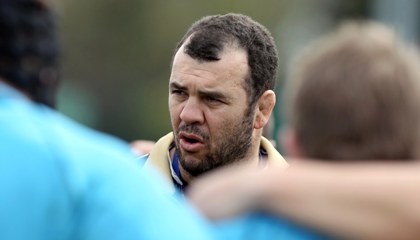 Michael Cheika