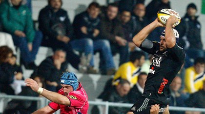 Marco Bortolami wins lineout ball