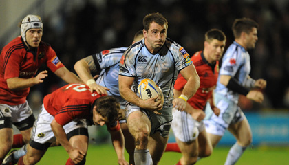 Blues name side to face Zebre