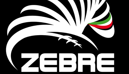 LION MEETS ZEBRE: SOUTH AFRICAN VAN SCHALKWYK COMMITS TO NEW ITALIAN TEAM