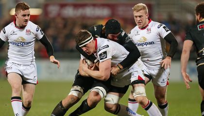 Preview: Zebre v Ulster