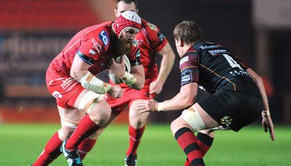 Scarlets hoping for magic 8 in Treviso