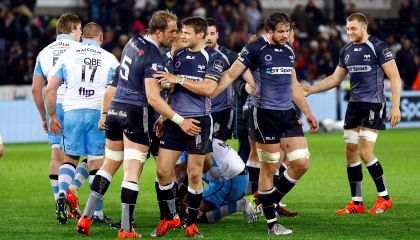 Ospreys celebrate