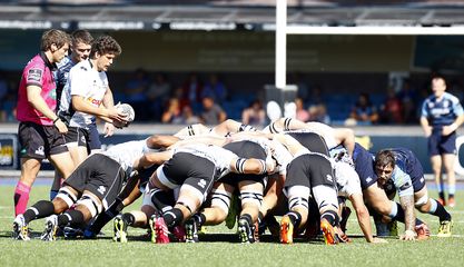 Zebre scrum