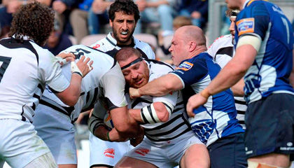 Zebre Rugby